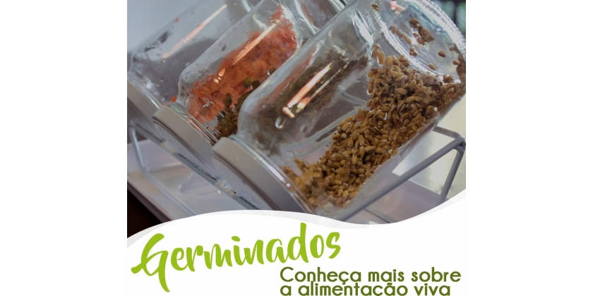 Germinados na alimentação viva